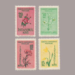 1955 İSTANBUL BAHAR BAYRAMI