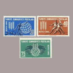 1963 AÇLIKLA SAVAŞ