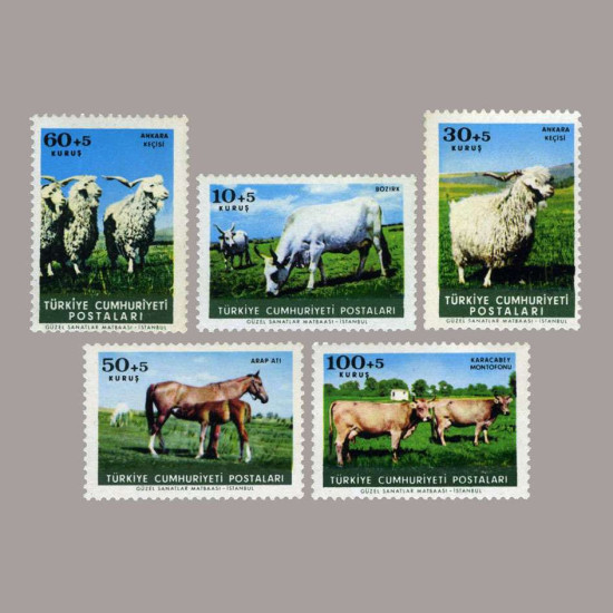 1964 HAYVANLARI KORUMA GÜNÜ