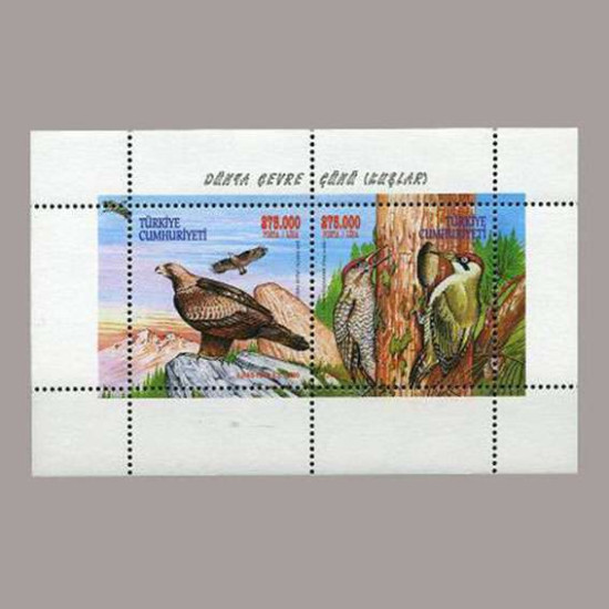 2000 DÜNYA ÇEVRE GÜNÜ