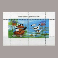 2000 DÜNYA ÇEVRE GÜNÜ