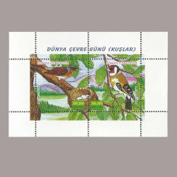 2001 DÜNYA ÇEVRE GÜNÜ