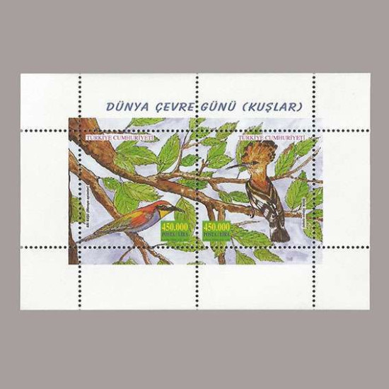 2001 DÜNYA ÇEVRE GÜNÜ