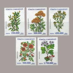 2001 ŞİFALI BİTKİLER