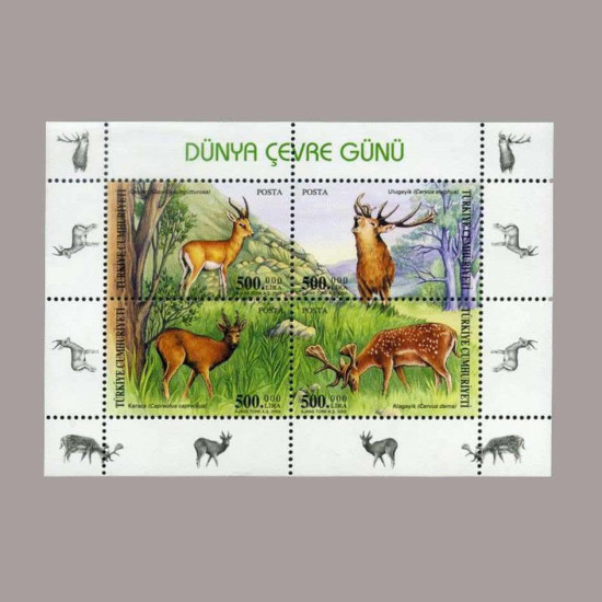 2003 DÜNYA ÇEVRE GÜNÜ BLOKU