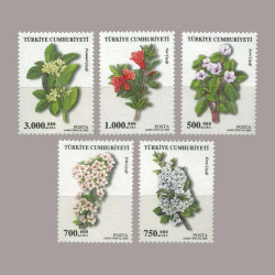 2003 MEYVE ÇİÇEKLERİ