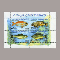 2005 DÜNYA ÇEVRE GÜNÜ