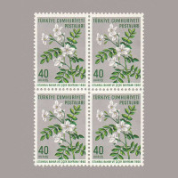 1960  İSTANBUL BAHAR BAYRAMI DÖRTLÜ BLOK