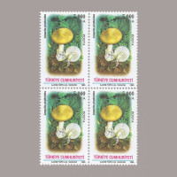 1995 MANTARLAR DÖRTLÜ BLOK