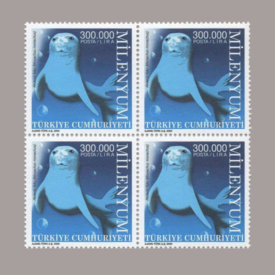 2000 MILENYUM DÖRTLÜ BLOK