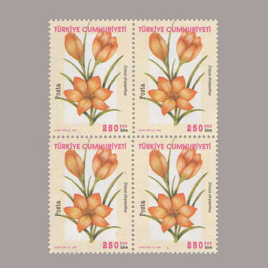 2000 ÇİÇEKLER DÖRTLÜ BLOK