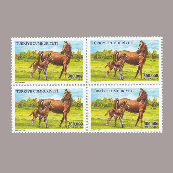 2001 ATLAR DÖRTLÜ BLOK