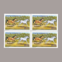 2001 ATLAR DÖRTLÜ BLOK