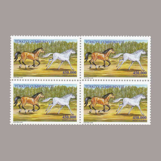 2001 ATLAR DÖRTLÜ BLOK