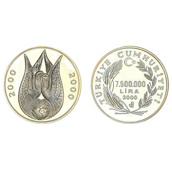 2000 LALE HATIRA PARASI GÜMÜŞ