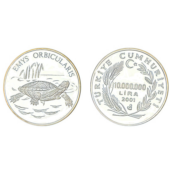 2001 TATLISU KAMPLUBAĞASI GÜMÜŞ