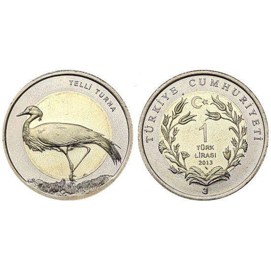 2013 TELLİ TURNA BİMETAL