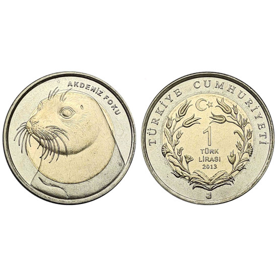 2013 AKDENİZ FOKU BİMETAL