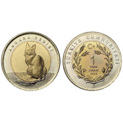 2015 ANKARA KEDİSİ BİMETAL