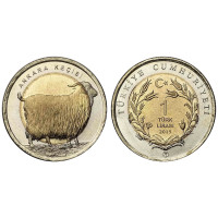 2015 ANKARA KEÇİSİ BİMETAL