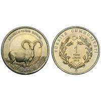 2015 ANADOLU YABAN KOYUNU BİMETAL