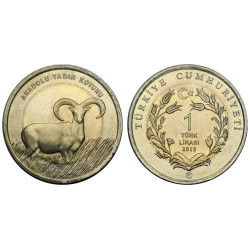 2015 ANADOLU YABAN KOYUNU BİMETAL