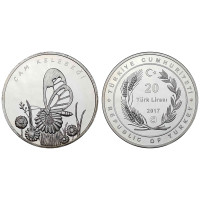 2017 CAM KELEBEĞİ GÜMÜŞ