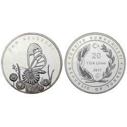 2017 CAM KELEBEĞİ GÜMÜŞ