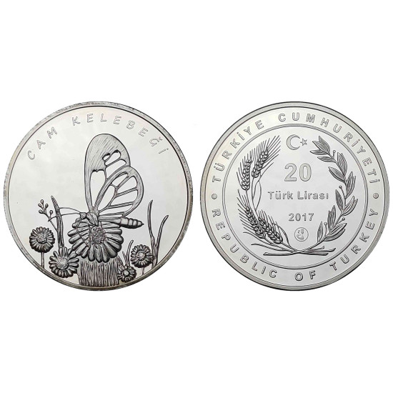2017 CAM KELEBEĞİ GÜMÜŞ