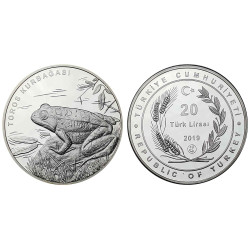 2019 TOROS KURBAĞASI GÜMÜŞ