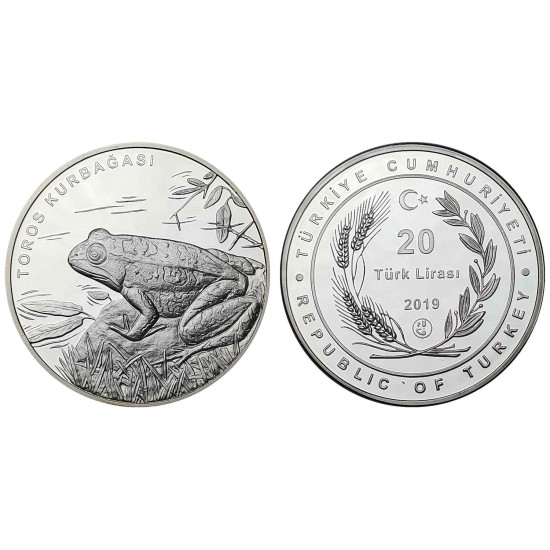 2019 TOROS KURBAĞASI GÜMÜŞ