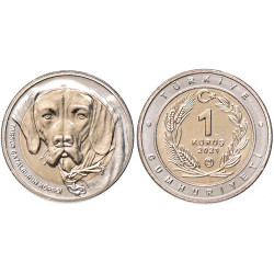 2021 TARSUS ÇATALBURUN KÖPEĞİ BİMETAL HATIRA PARASI