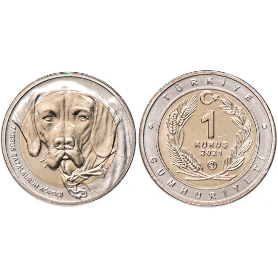 2021 TARSUS ÇATALBURUN KÖPEĞİ BİMETAL HATIRA PARASI