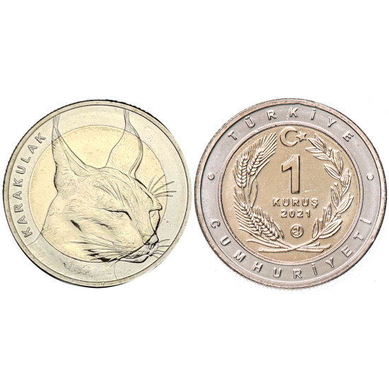 2021 KARAKULAK BİMETAL HATIRA PARASI