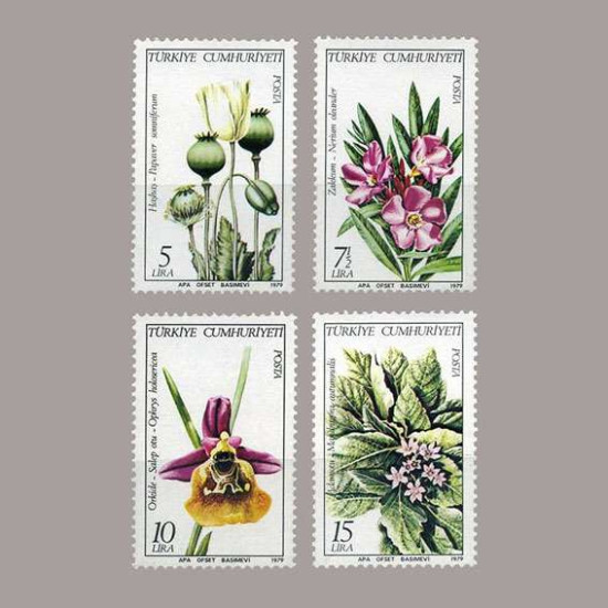 1979 TÜRKİYE BİTKİLERİ