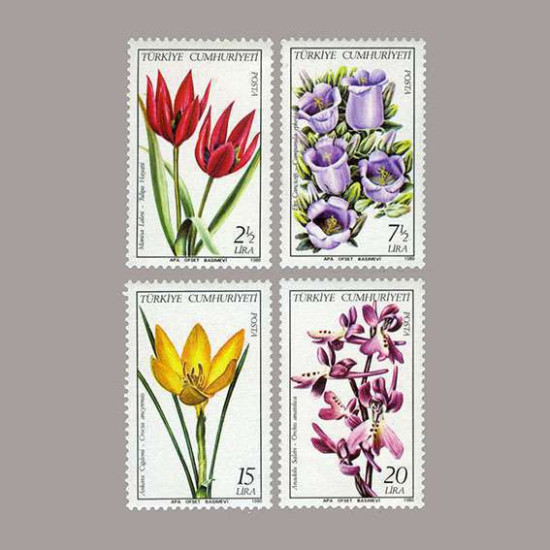 1980 TÜRKİYE BİTKİLERİ