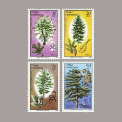 1984 ORMAN VE ÜRÜNLERİ