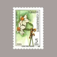 1985 KIR ÇİÇEKLERİ SÜREKLİ SERİ