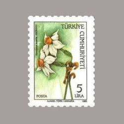 1985 KIR ÇİÇEKLERİ SÜREKLİ SERİ