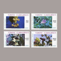 1988 TIPTA KULLANILAN ANADOLU BİTKİLERİ