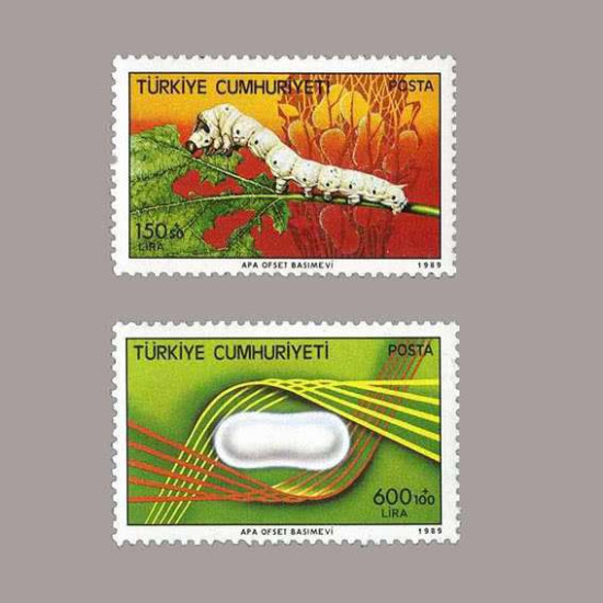 1989 TÜRK İPEK BÖCEKÇİLİĞİ