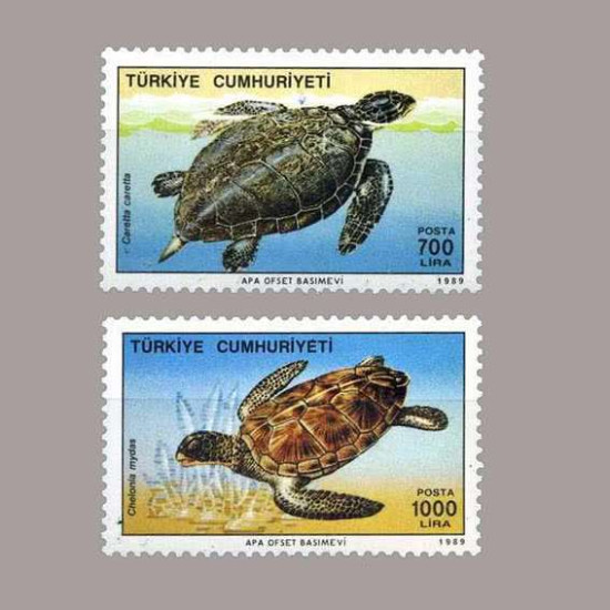 1989 DENİZ KAPLUMBAĞLARI