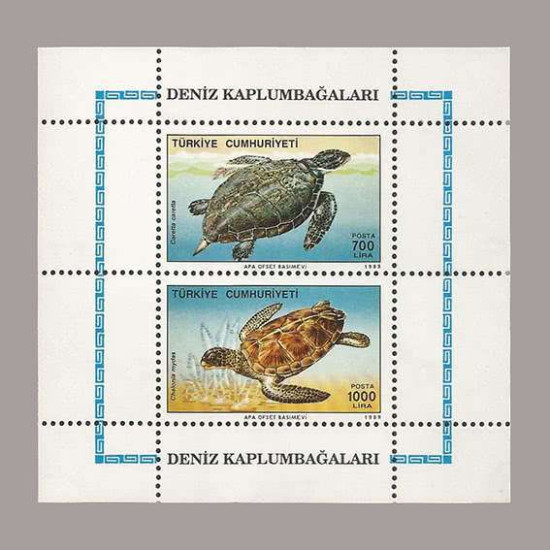 1989 DENİZ KAPLUMBAĞLARI BLOKU