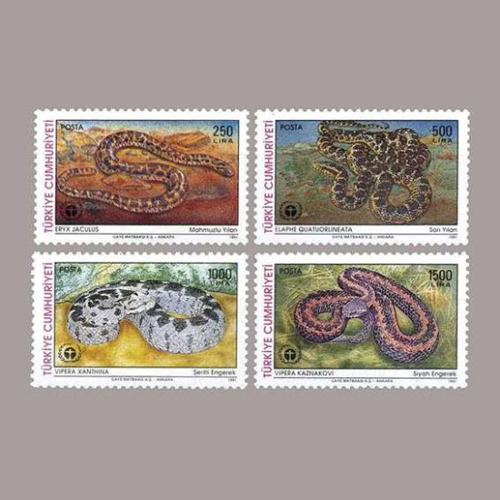 1991 DÜNYA ÇEVRE GÜNÜ