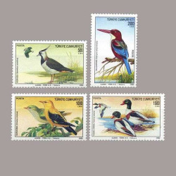 1992 DÜNYA ÇEVRE GÜNÜ