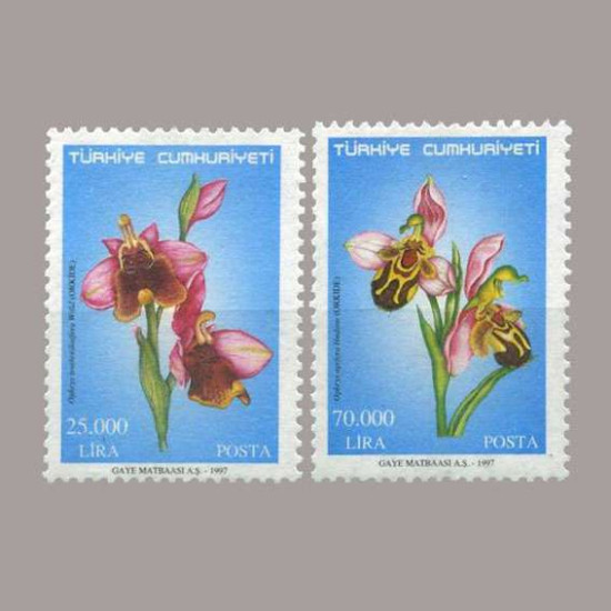1997 ORKİDE KONULU SÜREKLİ SERİ