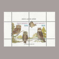 1998 DÜNYA ÇEVRE GÜNÜ