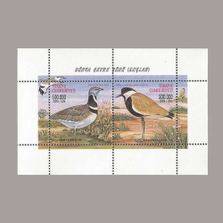 1999 DÜNYA ÇEVRE GÜNÜ