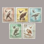 1967-013