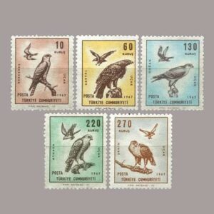 1967-013